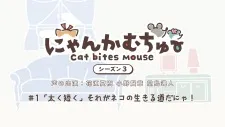 Nyankamuchu Season 3