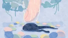 Tsukimi Gokochi
