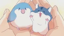 Kimi shika Inai